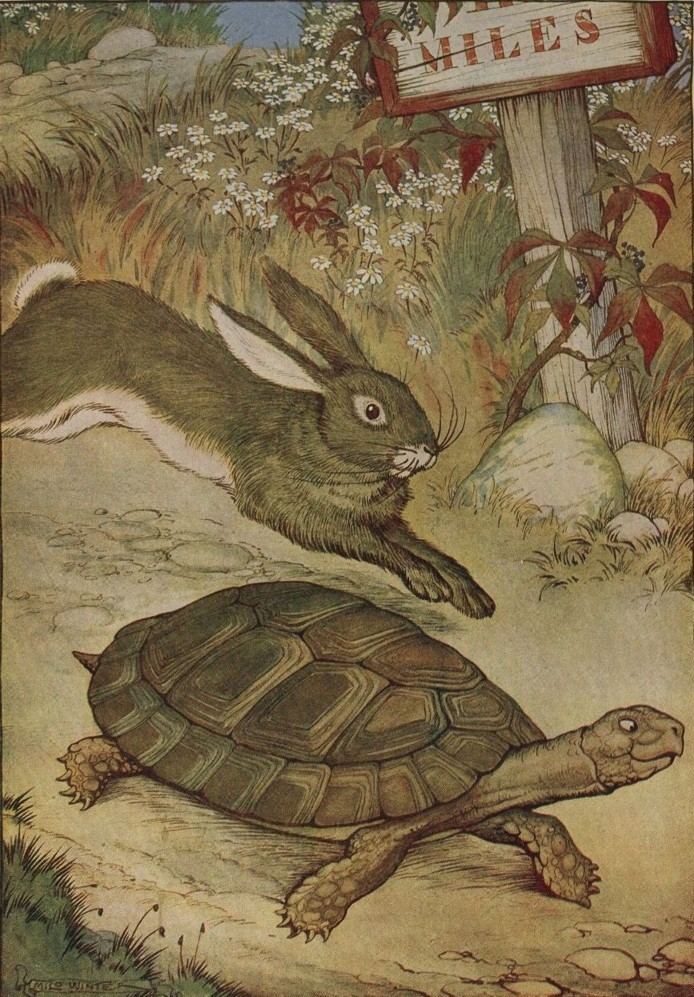 The hare bounds past the tortoise, by Milo Winter